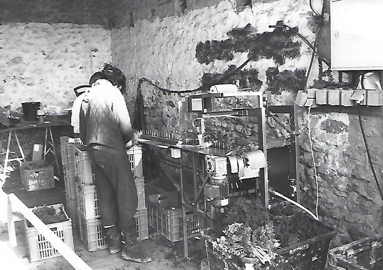 Histoire d'Attalink
