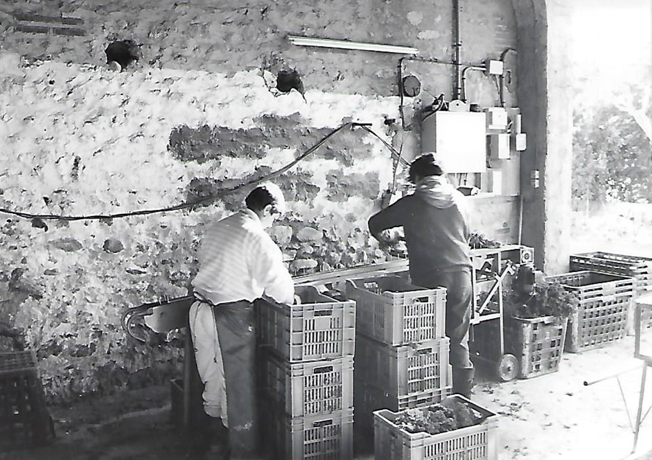 Histoire d'Attalink
